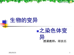 生物的变异之染色体变异教学课件.ppt