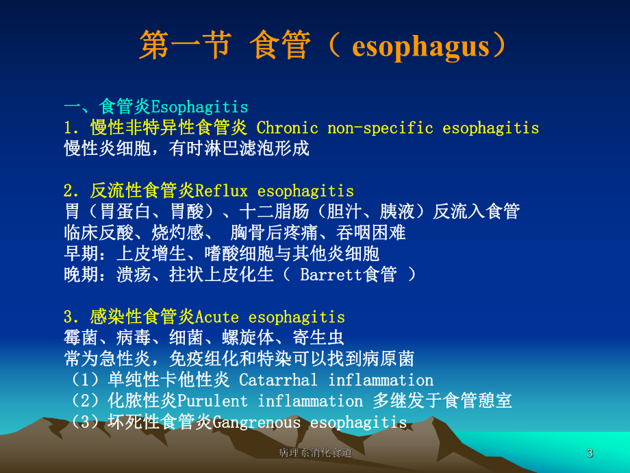 病理系消化食道课件.ppt_第3页