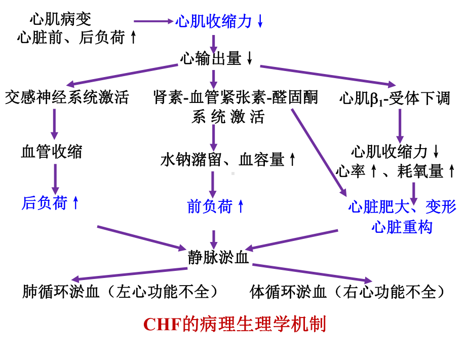 治疗充血性心力衰竭药物培训课件.ppt_第3页