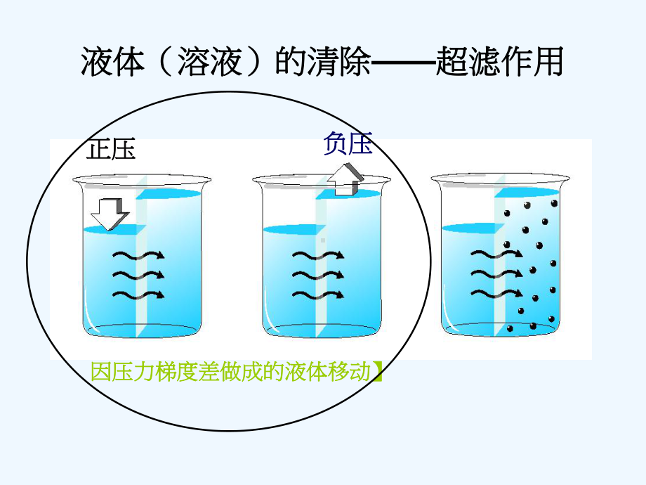 CRRT治疗剂量的计算.ppt_第3页