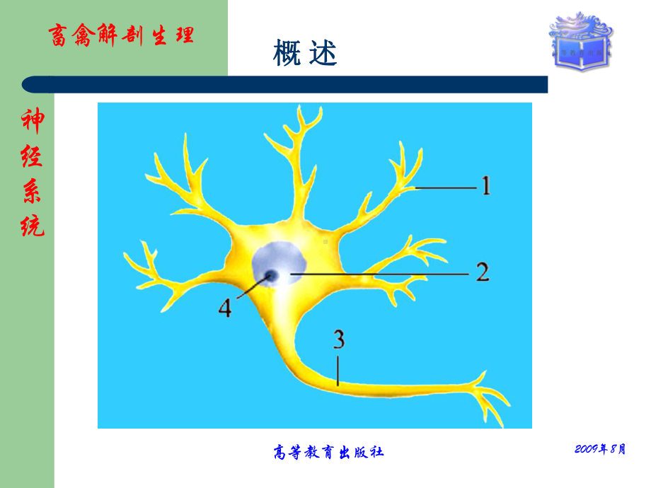 畜禽解剖生理神经系统课件.pptx_第2页