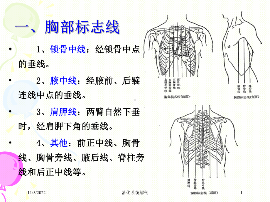 消化系统解剖培训课件.ppt_第1页