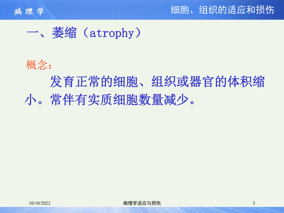 病理学适应与损伤培训课件.ppt_第3页