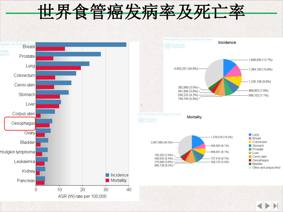 浅表食管癌分层治疗副本课件完整版.ppt_第3页