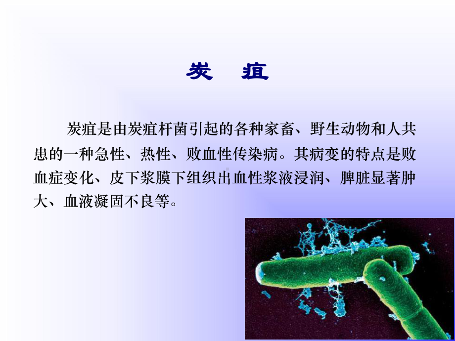 炭疽杆菌病教材课件.ppt_第2页