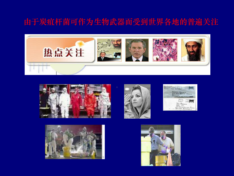 炭疽杆菌病教材课件.ppt_第3页