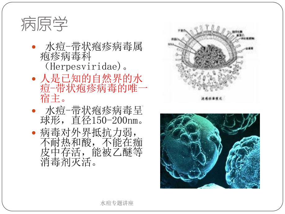 水痘专题讲座培训课件.ppt_第3页