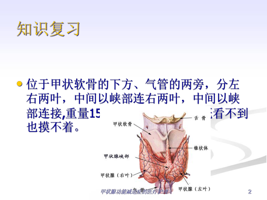 甲状腺功能减退症的医疗护理培训课件.ppt_第2页