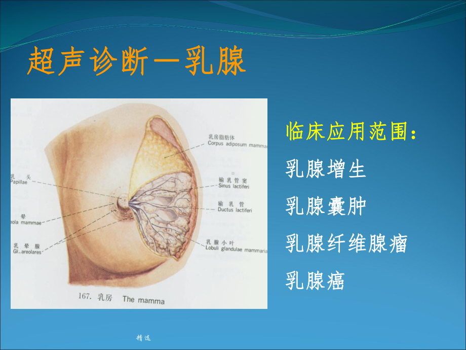 浅表器官的超声诊断课件.ppt_第3页