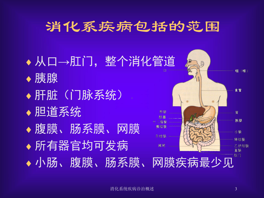 消化系统疾病诊治概述培训课件.ppt_第3页