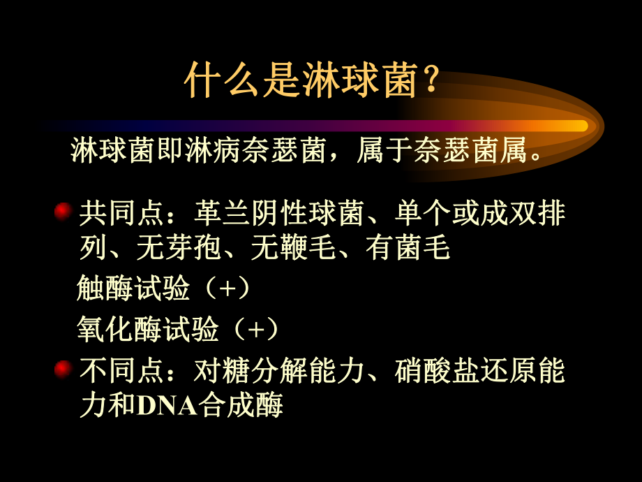 淋球菌培养及鉴定课件.ppt_第2页