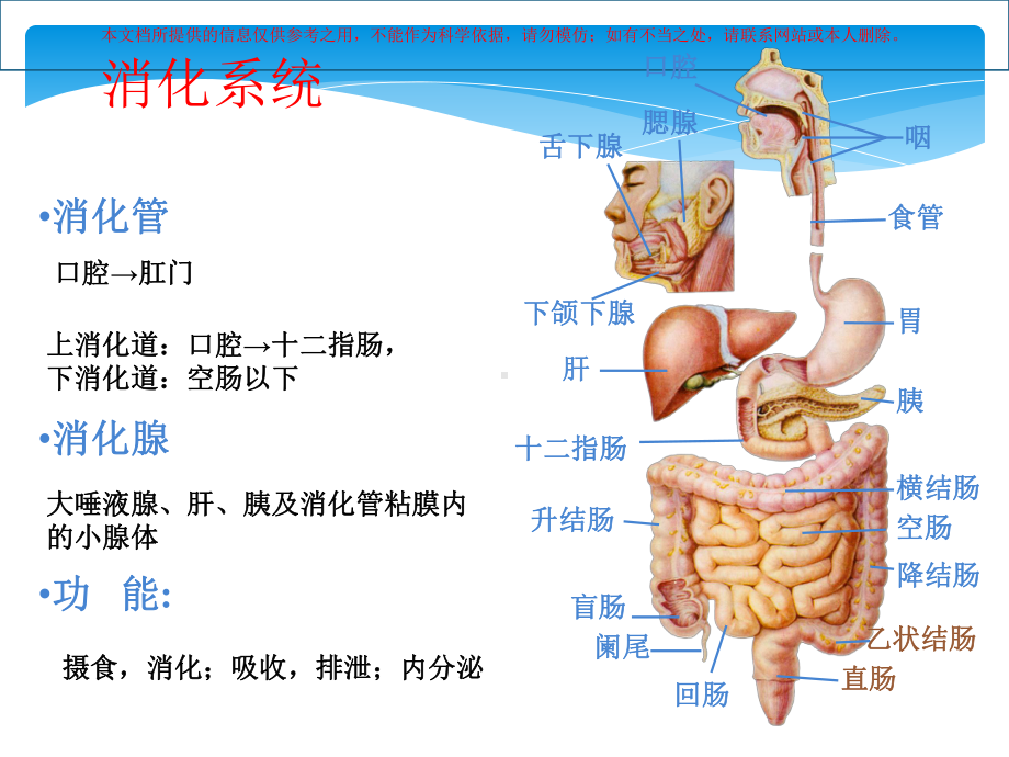 消化道出血护理培训课件.ppt_第2页