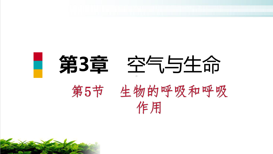 浙教版八级科学下册复习课课件生物的呼吸和呼吸作用.pptx_第2页