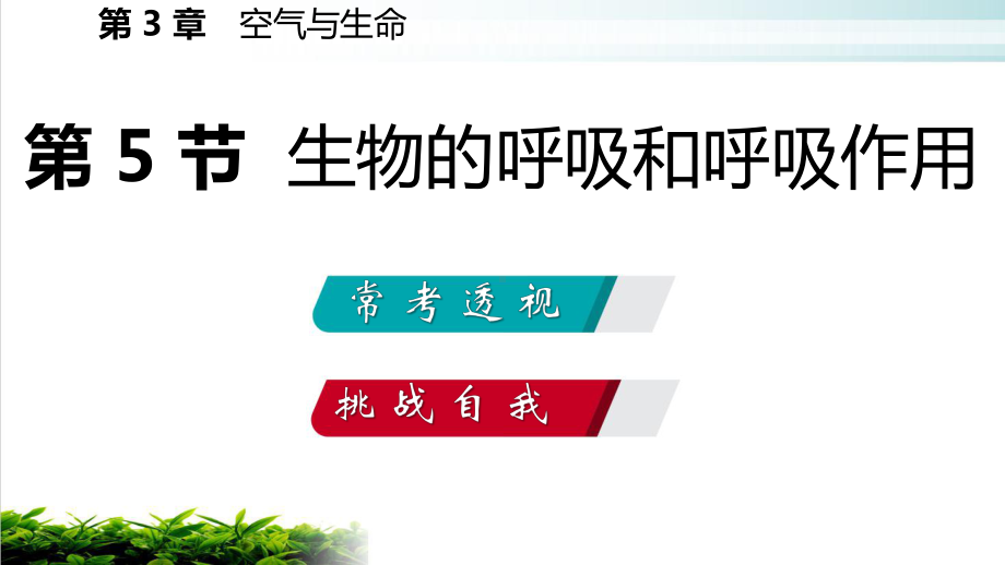 浙教版八级科学下册复习课课件生物的呼吸和呼吸作用.pptx_第3页