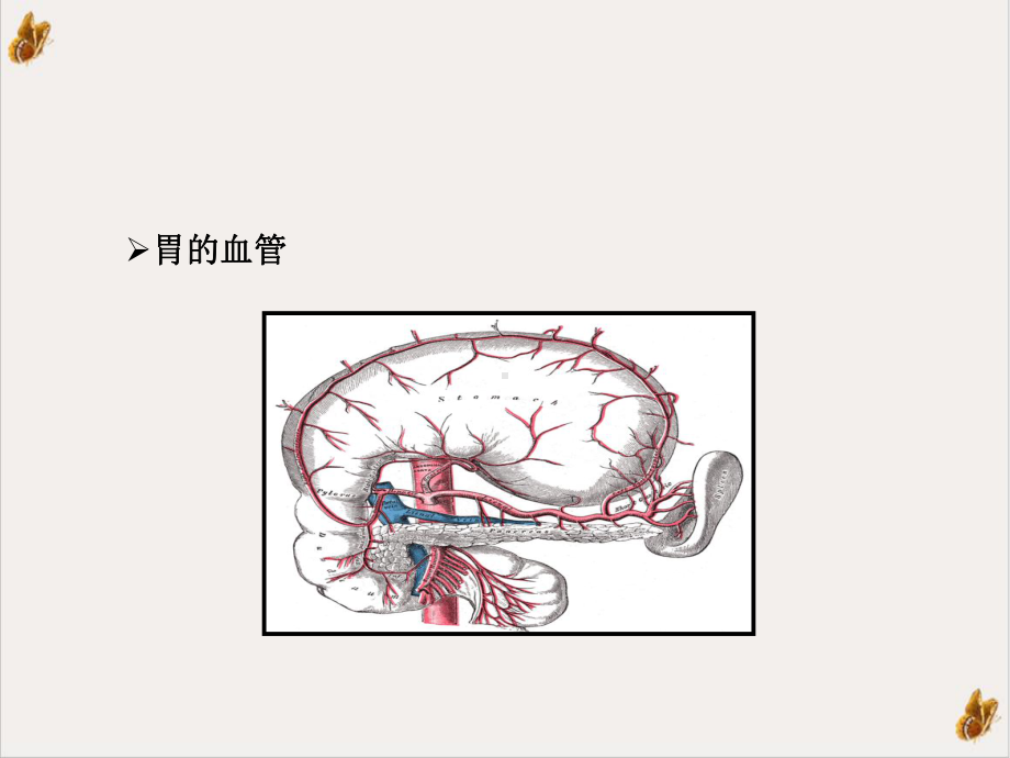 溃疡病及并发症培训课件.ppt_第3页