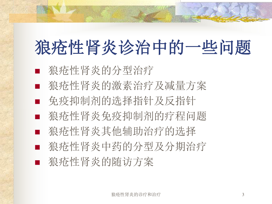 狼疮性肾炎的诊疗和治疗培训课件.ppt_第3页