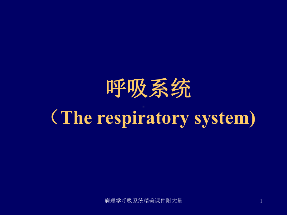 病理学呼吸系统精美课件附大量课件.ppt_第1页