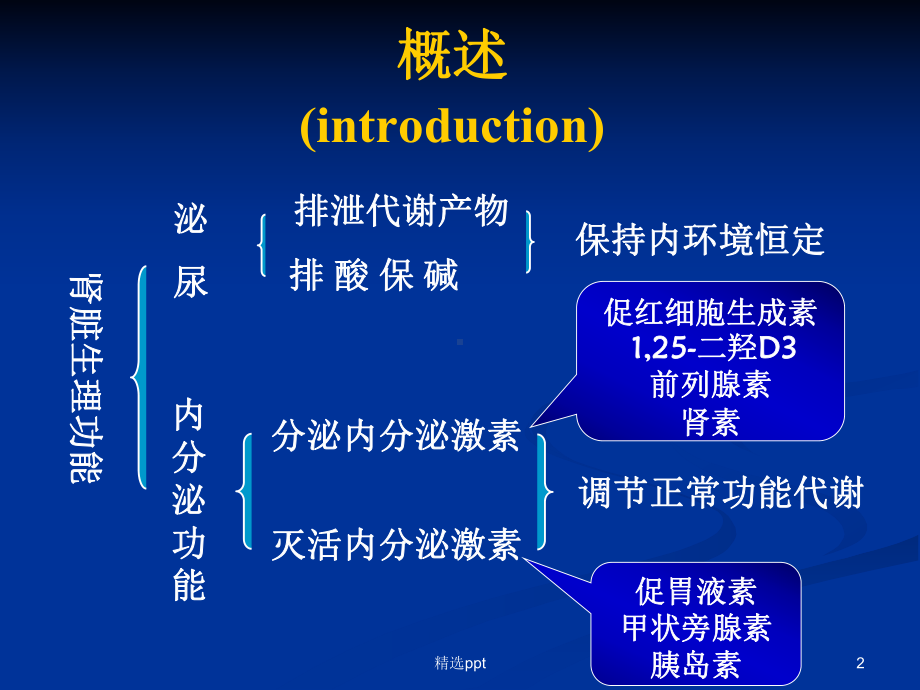 病理生理学肾功能不全课件.ppt_第2页