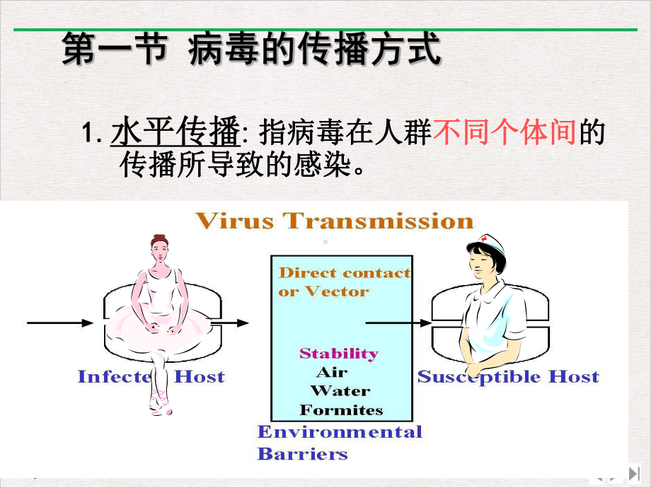 病毒的感染和免疫中文优质课件.pptx_第2页