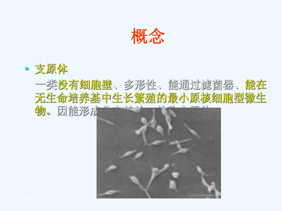 病原生物与免疫学支原体立克次体衣原体螺旋体课件.ppt_第3页