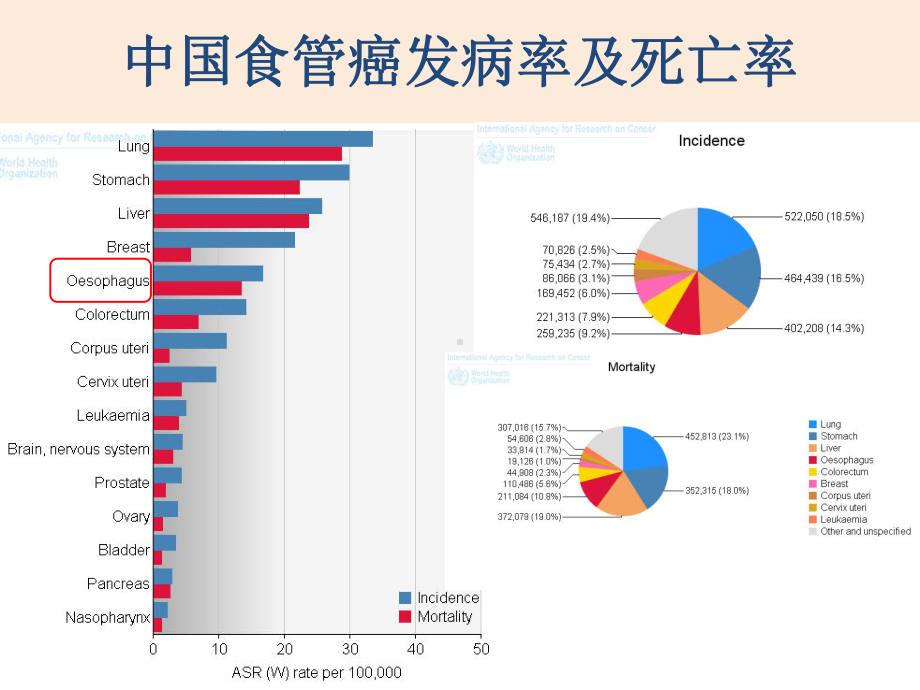 浅表食管癌分层治疗主题讲座课件.ppt_第3页