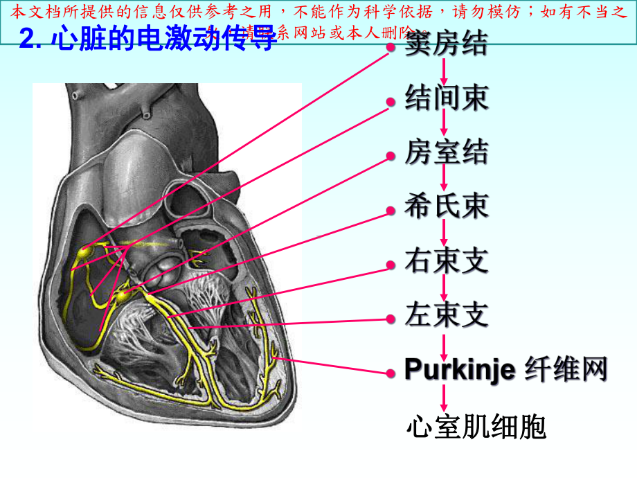 正常心电图和常见心律失常心电图的表现培训课件.ppt_第2页