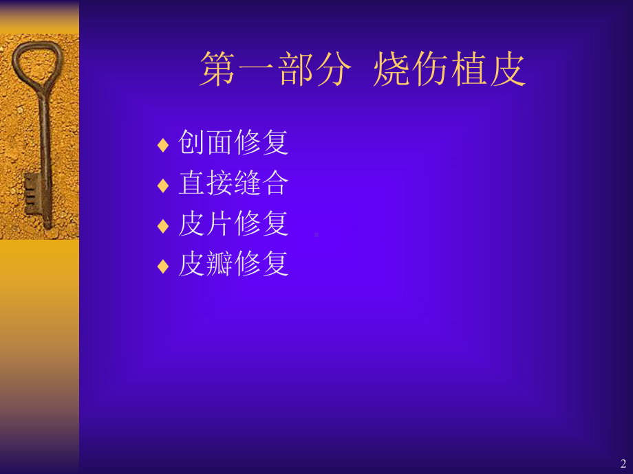 烧伤植皮与皮肤储存演示文稿课件.ppt_第2页