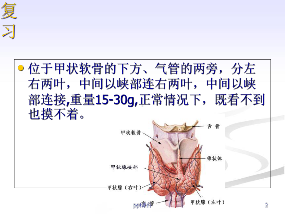 甲状腺功能减退症的护理-课件.ppt_第2页