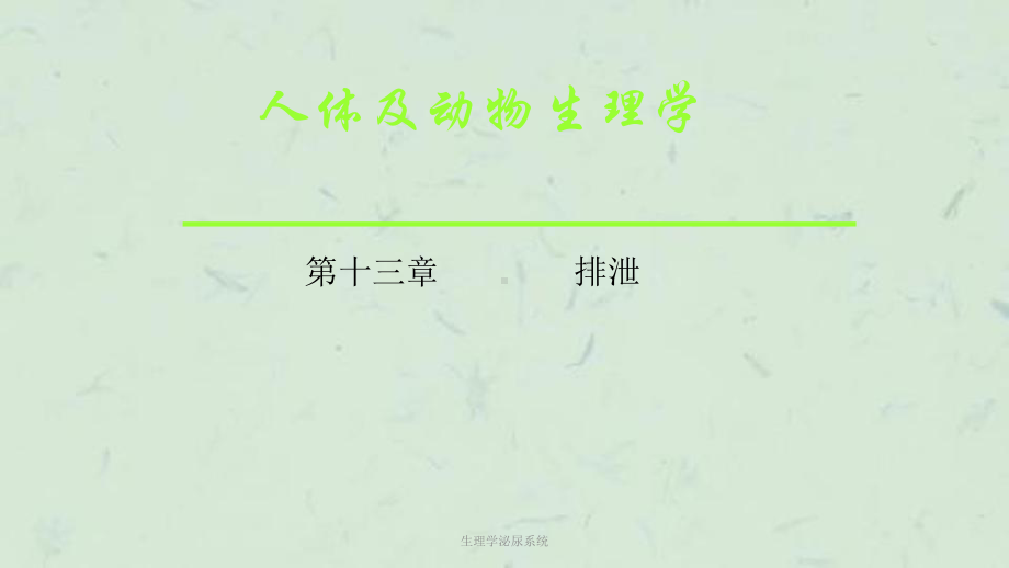 生理学泌尿系统课件.ppt_第1页