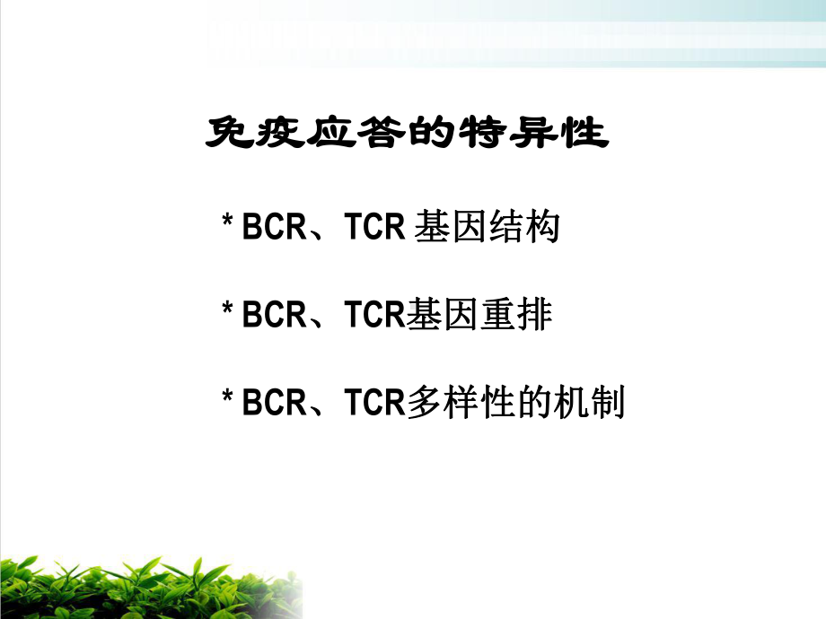 特异性免疫应答的特点培训课件.ppt_第3页