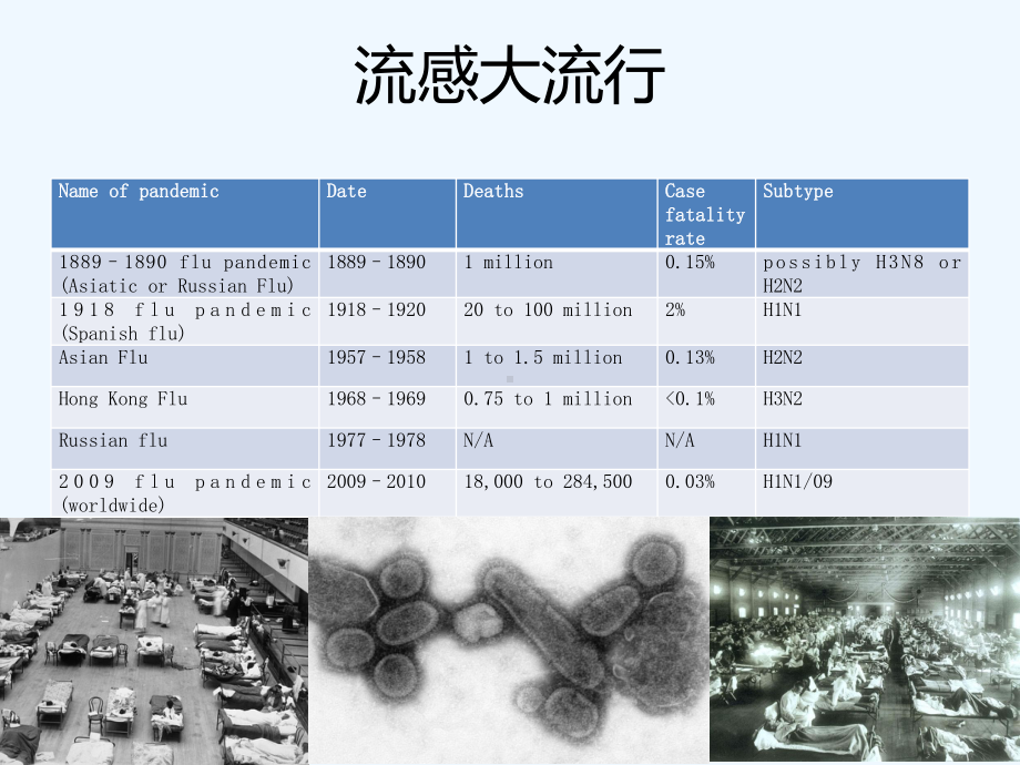 流感样症状的临床诊断与合理用药讲课件.ppt_第3页