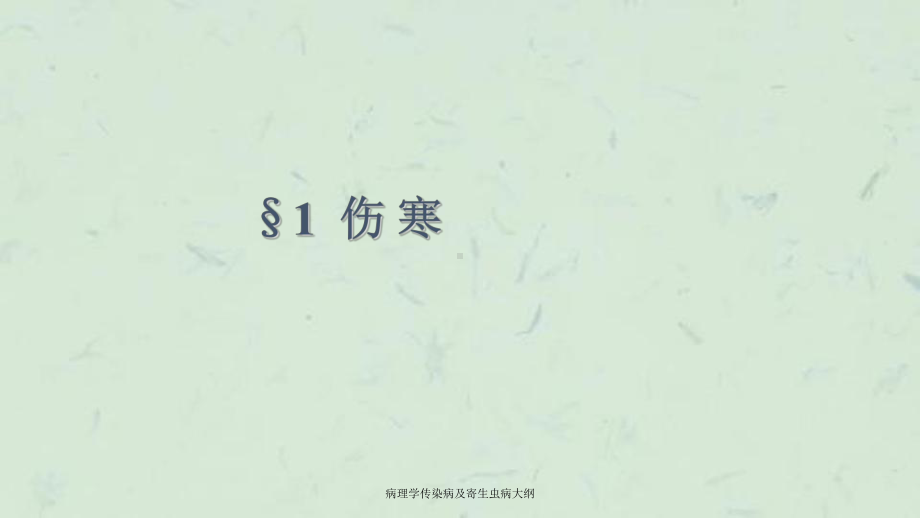 病理学传染病及寄生虫病大纲课件.ppt_第2页