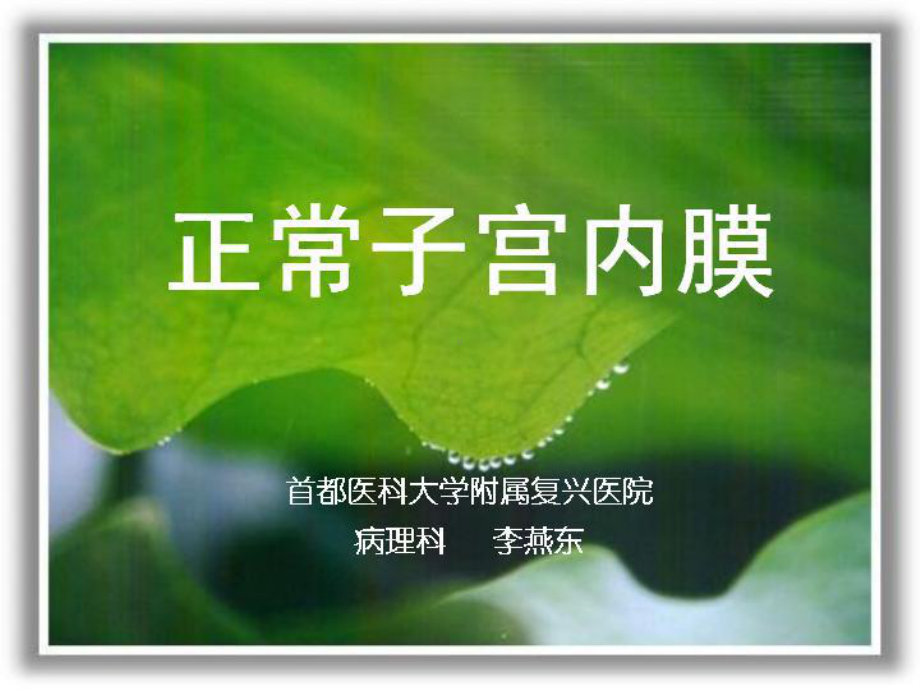 正常子宫内膜课件-2.ppt_第1页