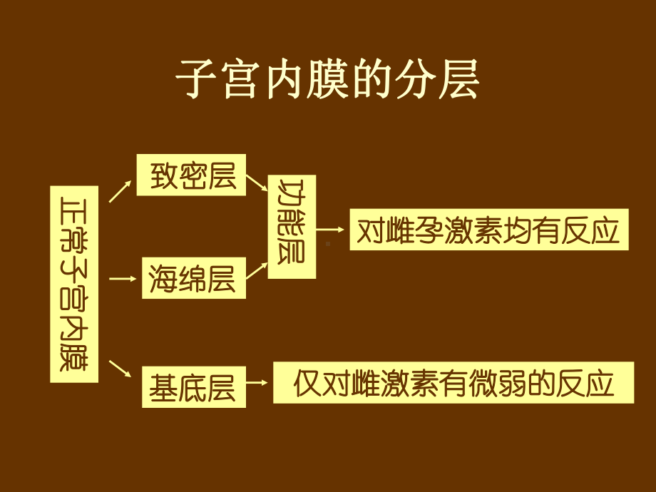 正常子宫内膜课件-2.ppt_第3页