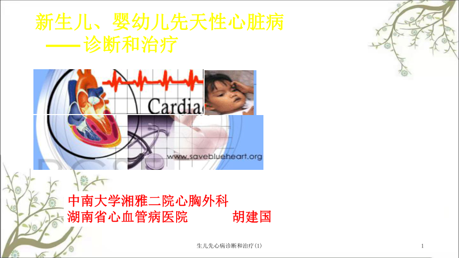 生儿先心病诊断和治疗课件.ppt_第1页