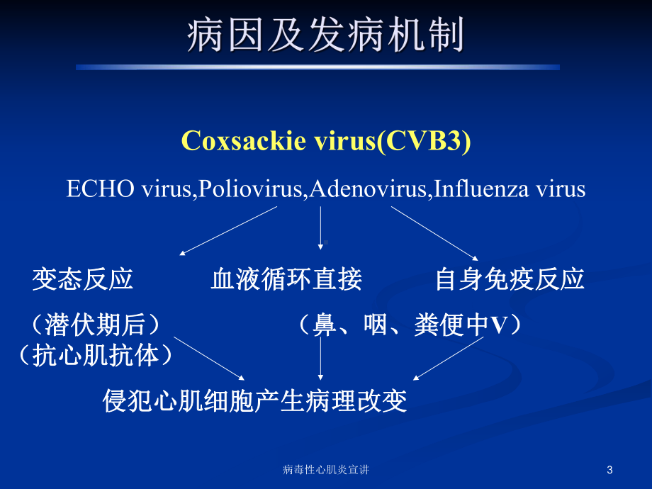 病毒性心肌炎宣讲培训课件.ppt_第3页