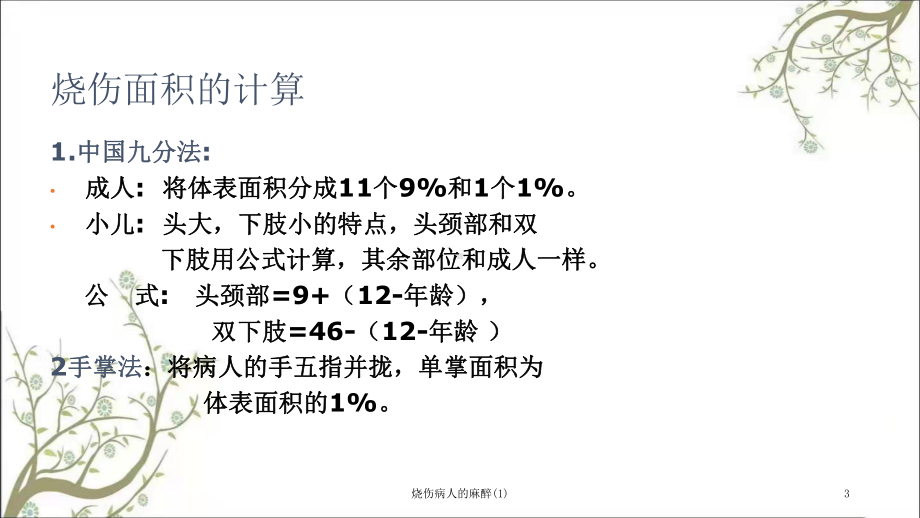 烧伤病人的麻醉课件.ppt_第3页