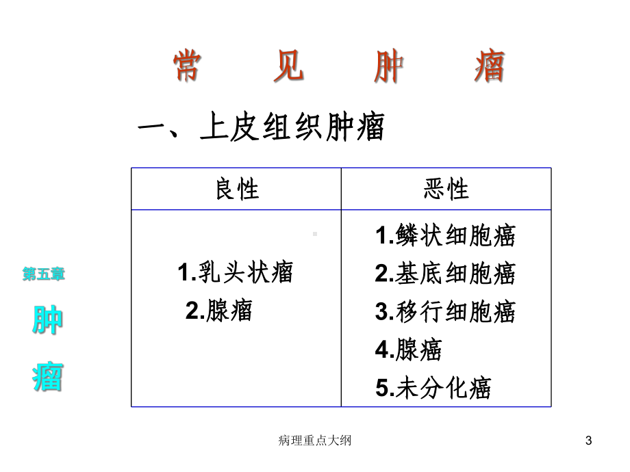 病理重点大纲课件.ppt_第3页