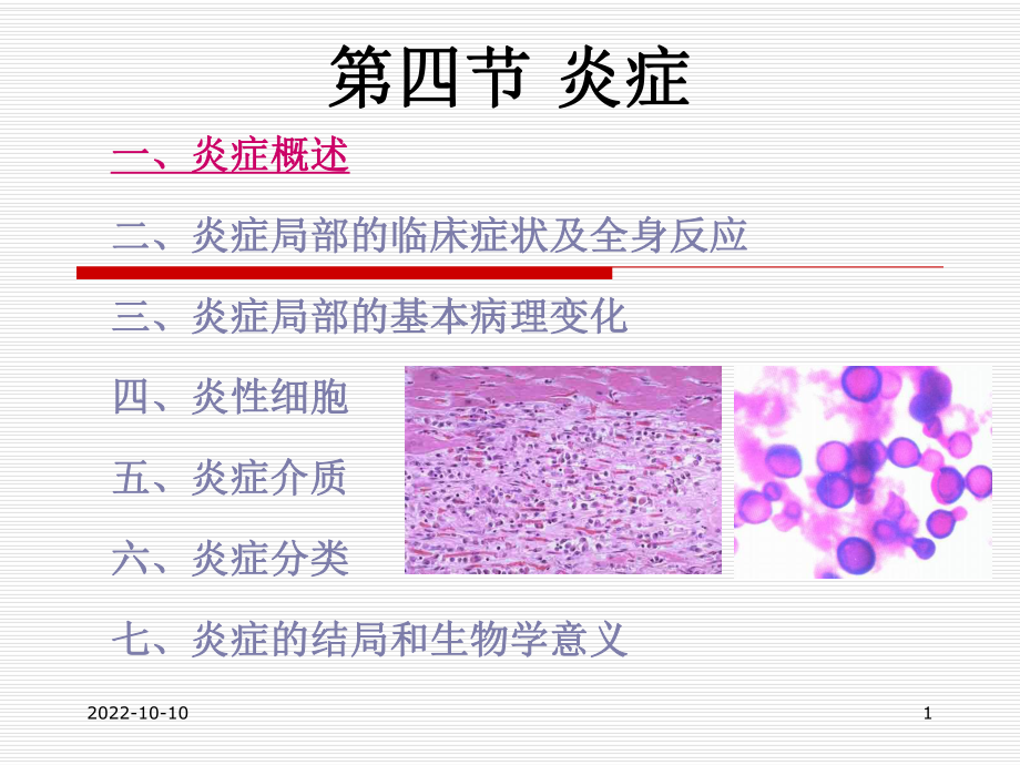 病理学(五)（可编辑的）课件.ppt_第1页