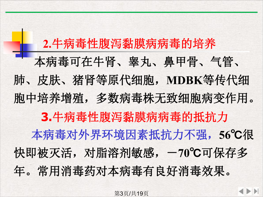 牛病毒性腹泻粘膜病优选课件.pptx_第2页