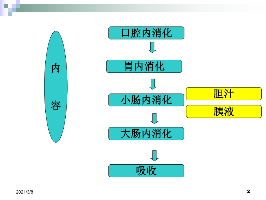 消化与吸收医学生理学课件.ppt_第2页