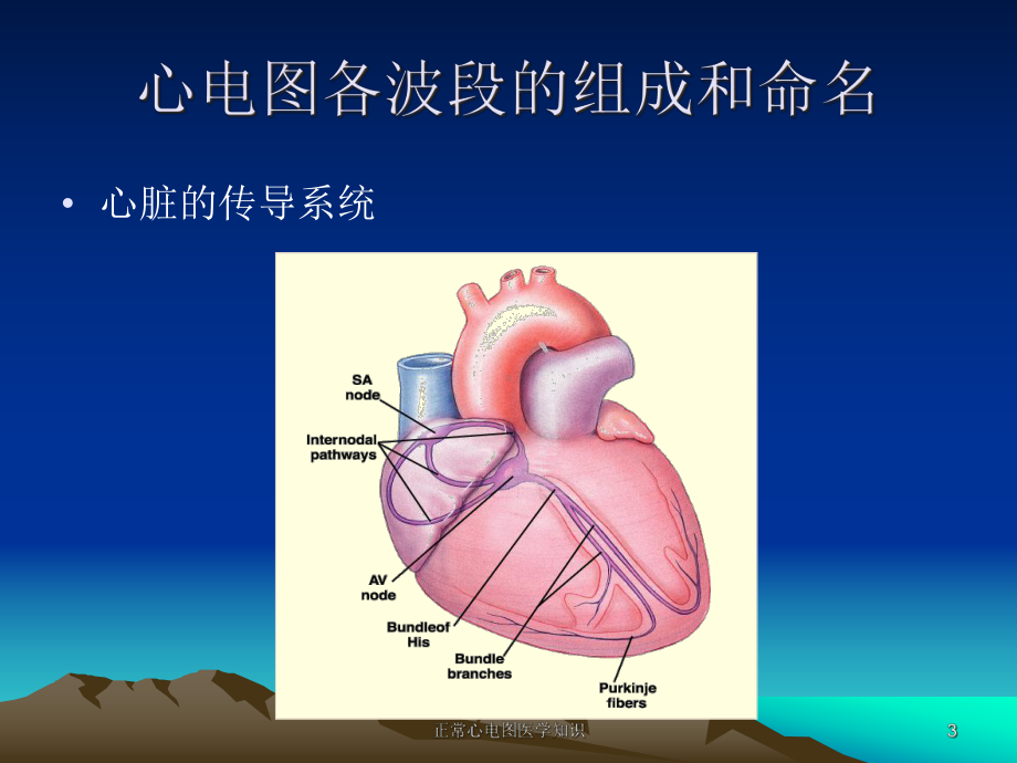 正常心电图医学知识培训课件.ppt_第3页