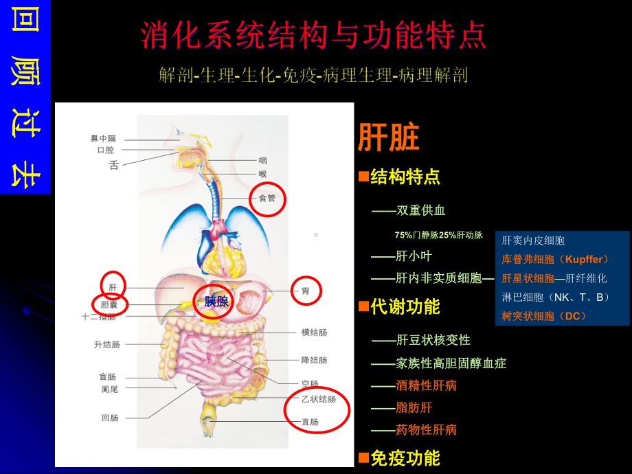 消化系统疾病总论课件.ppt_第3页