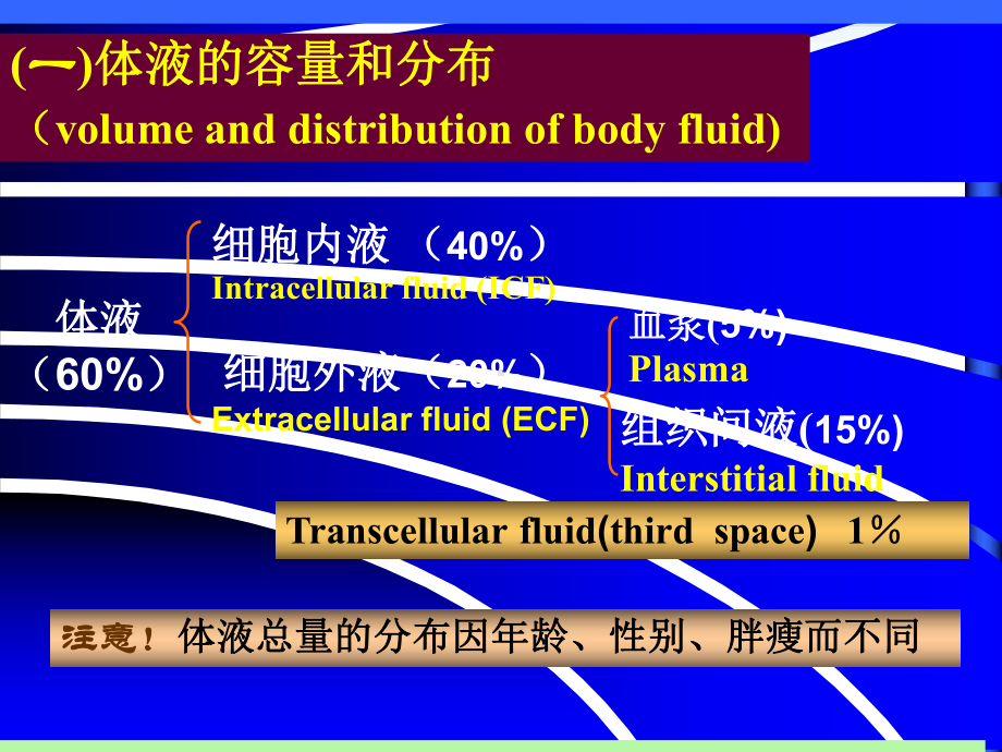 水钠代谢障碍临床本科培训课件.pptx_第3页