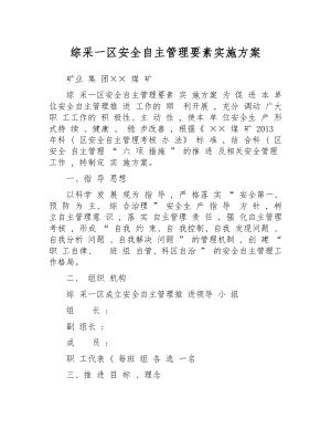 安全自主管理要素实施方案参考模板范本.docx