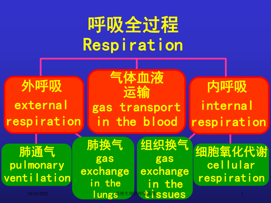 病理生理学呼吸系统培训课件.ppt_第1页