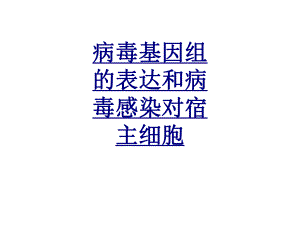 病毒基因组的表达和病毒感染对宿主细胞优质课件.ppt