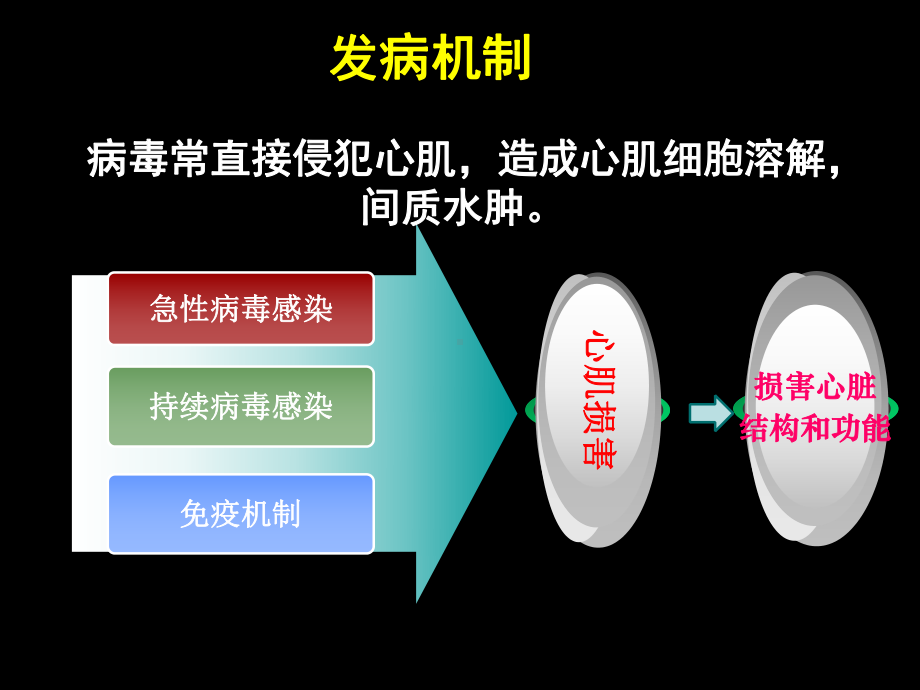 病毒性心肌炎病人的医疗护理培训课件.ppt_第3页