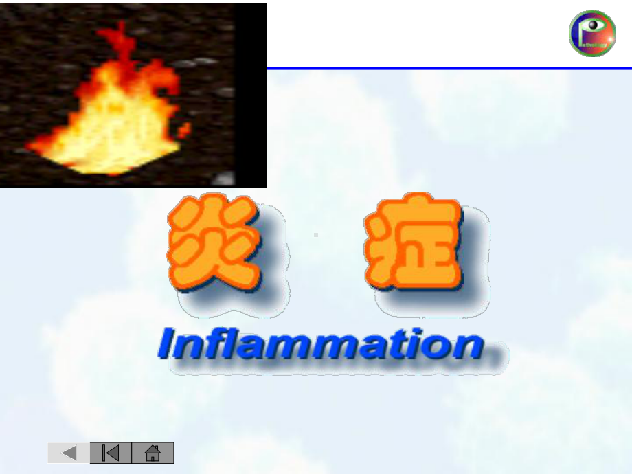 病理学本科-第四章-炎症课件.ppt_第1页