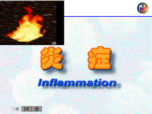 病理学本科-第四章-炎症课件.ppt